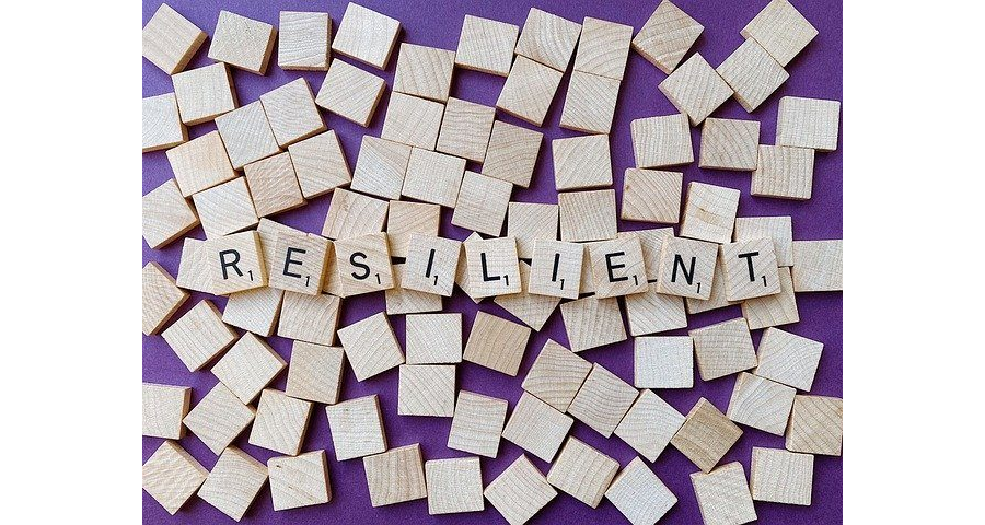 Resiliencia: Clave para reinventarse a través de las dificultades